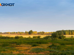 «Гринпис»: строительство дороги под Волгоградом грозит России международным скандалом