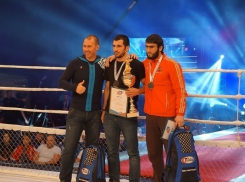 В Волгограде определены обладатели Кубка России по ММА