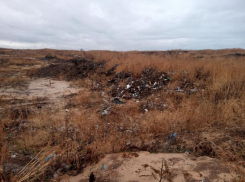 Силовикам передали дело в отношении ООО «ГринЛайт» и ООО «ПРОМТЕХСЕРВИС»