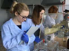 Ученые МГУ обещают продемонстрировать нечто инновационное на жительницах Волгограда