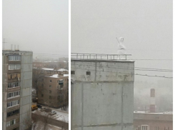 На волгоградских крышах появились снеговики
