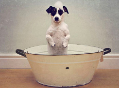 Горячую воду отключат в пяти районах Волгограда на грядущей неделе