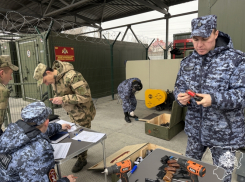 600 единиц оружия уничтожат в Волгограде