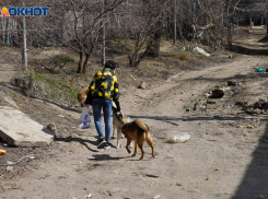 Многодетным в Волгоградской области бесплатно выделили более 30 га земли за городом