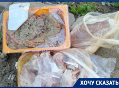 Пропадают продукты, горит техника: жители села в Волгоградской области мучаются со странным отключением света