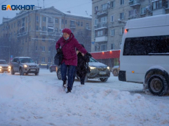 В Волгограде владельцы популярных маршрутов потребуют у чиновников публично обсуждать их сокращение