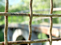 10 лет «строгача» дал суд жителю Волгоградской области за убийство престарелой матери