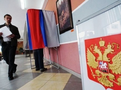 Струк и Васин стали триумфаторами партийного праймериз в Волгограде