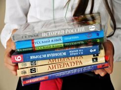Нехваткой учебников в школах Волгограда займется Общественная палата 
