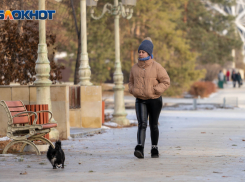 Волгоградцев продолжит радовать теплая и малооблачная погода