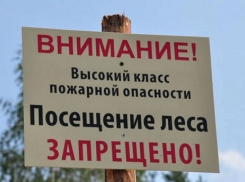 До конца августа пикники для волгоградцев отменяются