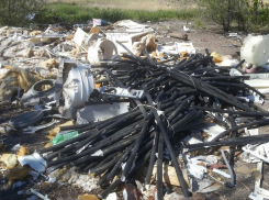 Парк «Дружба» на юге Волгограда утопает в мусоре