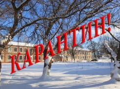 Во всех школах Волгограда введен карантин по гриппу