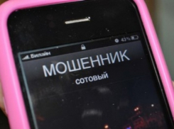 Под Волгоградом директор школы отдала мошеннице 50 тысяч