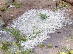 Град и ливень уничтожают огороды жителей Волгоградской области