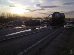 Жуткие подробности с полыхающей фурой на федеральной трассе назвали в МВД