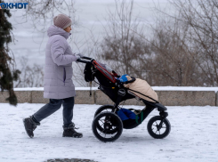 Сделали из нас кротов: неожиданный аргумент для перевода стрелок нашли волгоградцы