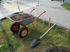 Дерзкие «художества» «Волгоградзеленхоза» почти на 30 миллионов вскрылись в суде