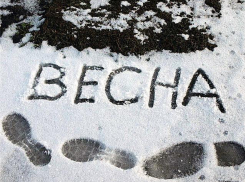 Зима не оставляет попытки задержаться в Волгограде