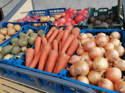 Рекордный рост цен на овощи на фоне рекордного урожая предсказал политолог: к Новому году вздрогнем