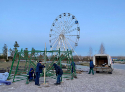 Главная ёлка Волгограда переехала из канализационной поймы