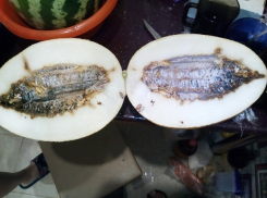 Волгоградка купила в гипермаркете дыню с червями и плесенью