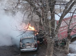 Автобус «Волгабас» и пять автомобилей сгорели в Волгограде