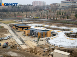 Озеленить пойму Царицы в Волгограде предложат патриотичным горожанам