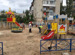 Во дворе на юге Волгограда посадят 50 деревьев из дендрария