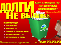 Более 55 млн рублей составил долг за услугу по обращению с ТКО жителей трех районов Волгоградской области