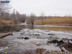 В зоне вероятного затопления — 70 млн человек: грозит ли шок-половодье Волгоградской области