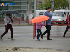 На юге Волгограда подорожал проезд на популярном маршруте 