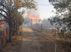 Дачник с Сарпинского рассказал о чудовищном пожаре на острове