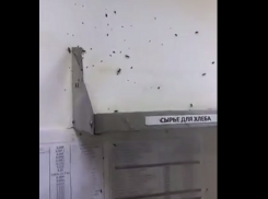 Видео тараканов и грязи в одной из волгоградских пекарен появилось в интернете