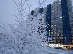 От 0 до -6ºС со снегом: погода в Волгограде развлекается как может