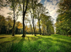 Шикарный парк за 3 миллиона рядом с братской могилой обещают в Волгоградской области