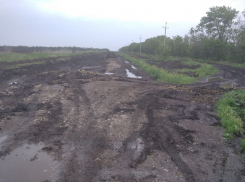 Горе-дорожники под Волгоградом пустили под фрезу идеальный асфальт, а в глубинке отрезали хутор от цивилизации
