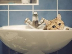 Жители Краснооктябрьского района Волгограда снова сидят без воды 