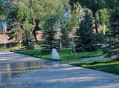 В отремонтированном за сотни миллионов Комсомольском саду в Волгограде забил поливочный «фонтан»