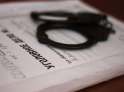 В Городище председатель СНТ подарил родственникам 9 земельных участков