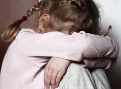 Насиловавшему 6-летнюю племянницу волгоградцу ужесточили приговор в два раза