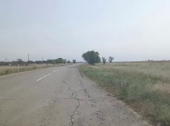 Черные тучи саранчи идут на огороды волгоградцев: видео