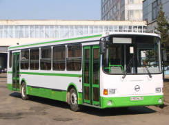 Автопарку в Волгограде закупят 30 новых автобусов