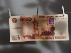 Десятки волгоградцев подарили миллионы прогоревшему и обанкротившемуся кооперативу