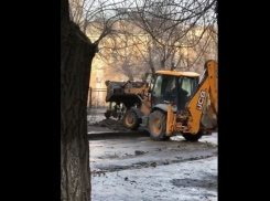 Волгоградские дорожники скидывают под деревья собранную с дорог грязь