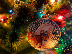 Как в Волгограде выбрать новогоднюю елку, рассказали в Роспотребнадзоре