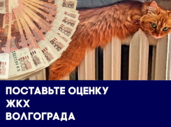 Губернатор властвует над капремонтом, а концессии объединились против УК Волгограда: итоги 2018 года