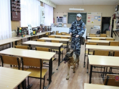 Лицеисту, «заминировавшему» здание в Камышине, грозит 3 года колонии