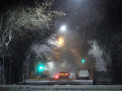 Выпавший ночью снег парализовал город – миллионник Волгоград