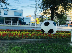 Полицейские Волгограда сумели найти потерянный мобильный австралийских болельщиков